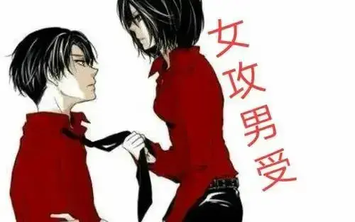 西檬之家-字母圈新人如何理解DOM角色？