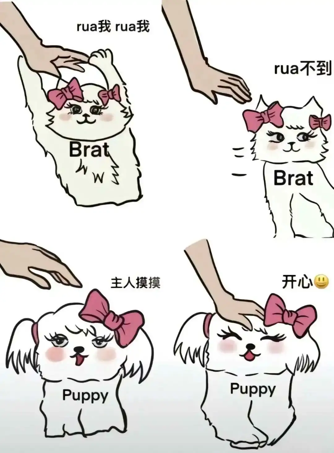 【西檬之家】-字母圈新人入门指南