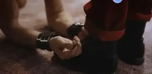 西檬之家-BDSM是什么：从新人视角看这个充满信任与沟通的亚文化