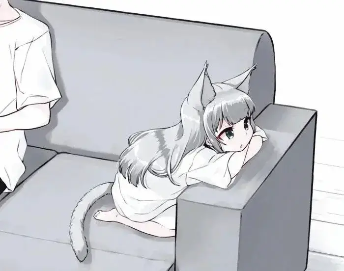 【西檬之家】新人入圈指南：不懂这些术语你是真的懵！
