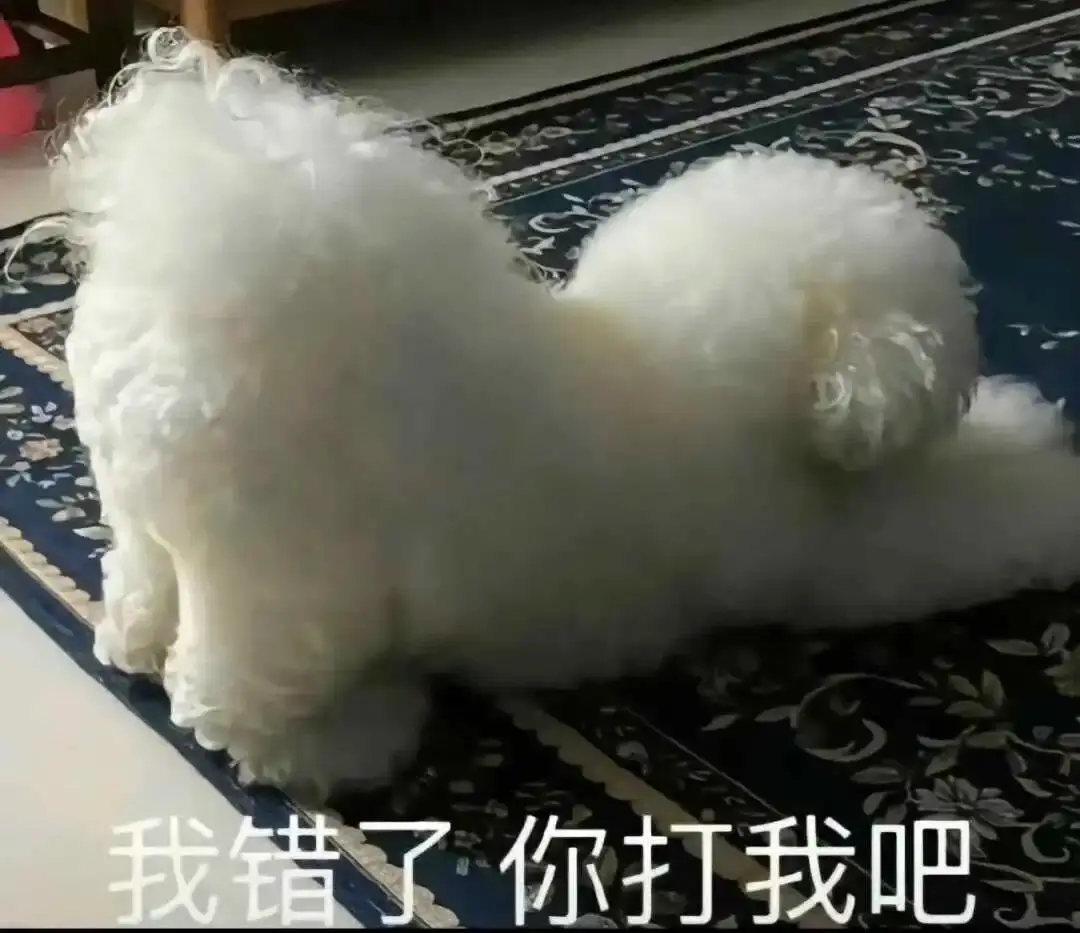 【西檬之家】字母圈的 DOM 是什么意思 | BDSM 权力支配者入门指南