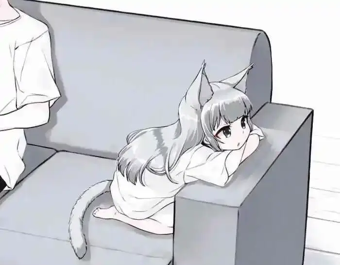 小圈：实用指南