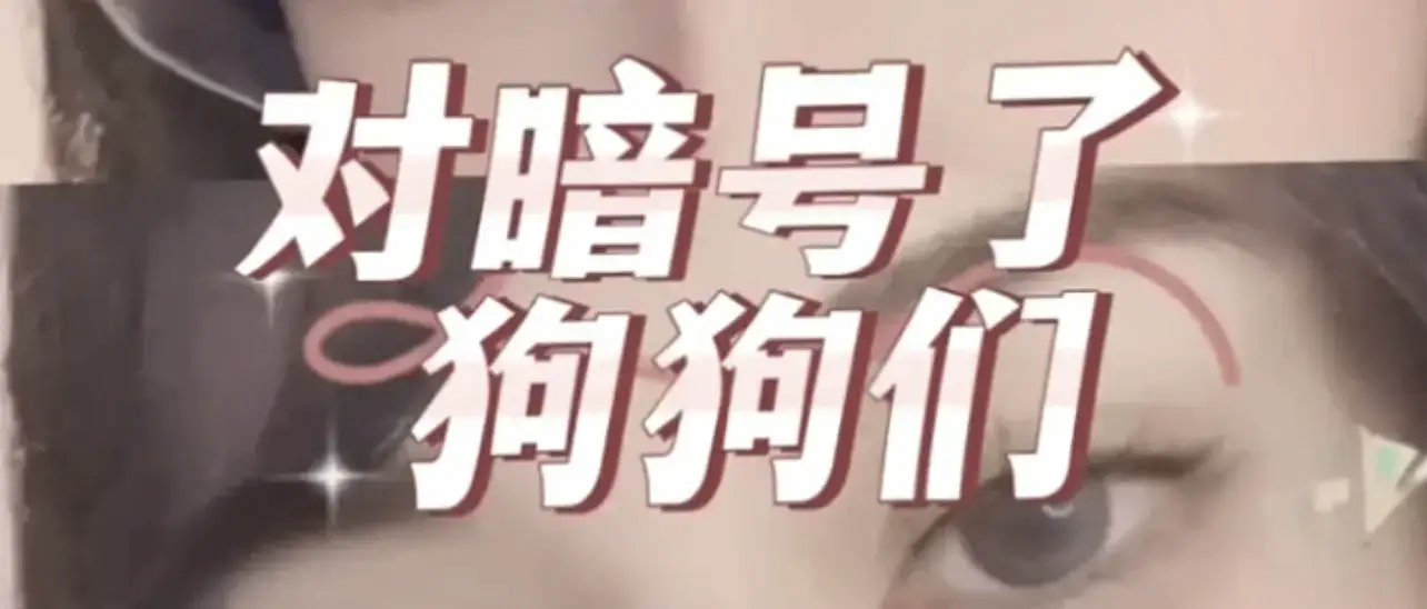 西檬之家-字母圈中的M角色：BDSM新人指南