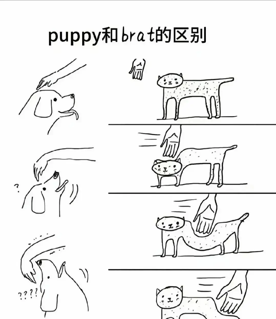 【西檬之家】DS关系是什么？字母圈新人入圈指南