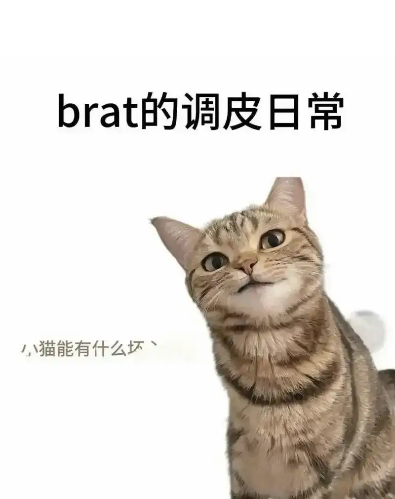 西檬之家-OTK是什么？字母圈新人入圈