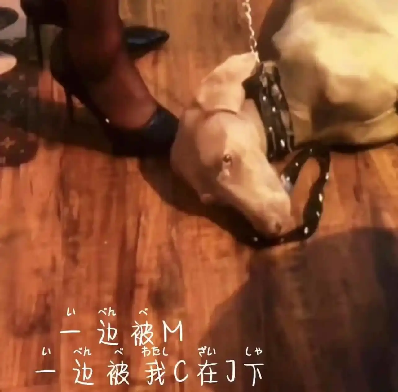 西檬之家-字母圈新人入圈指南