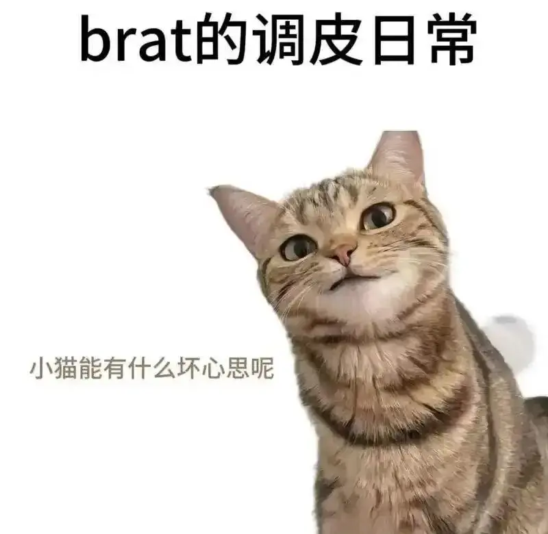 [西檬之家] K9犬系：字母圈的犬系角色扮演解析