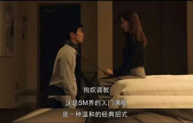 k9犬系：实用指南